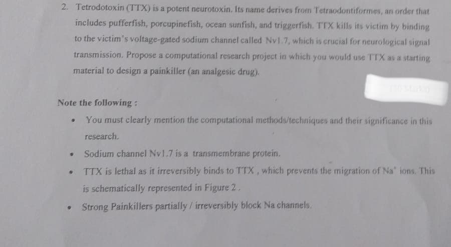 2. Tetrodotoxin (TTX) is a potent neurotoxin. Its name derives from Tetraodontiformes, an order that
includes pufferfish, porcupinefish, ocean sunfish, and triggerfish. TTX kills its victim by binding
to the victim's voltage-gated sodium channel called Nv1.7, which is crucial for neurological signal
transmission. Propose a computational research project in which you would use TTX as a starting
material to design a painkiller (an analgesic drug).
Note the following:
(50 Marks)
You must clearly mention the computational methods/techniques and their significance in this
research.
Sodium channel Nv1.7 is a transmembrane protein.
• TTX is lethal as it irreversibly binds to TTX, which prevents the migration of Na ions. This
is schematically represented in Figure 2.
Strong Painkillers partially/ irreversibly block Na channels.