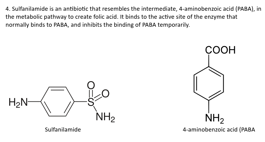 4. Sulfanilamide is an antibiotic that resembles the intermediate, 4-aminobenzoic acid (PABA), in
the metabolic pathway to create folic acid. It binds to the active site of the enzyme that
normally binds to PABA, and inhibits the binding of PABA temporarily.
H2N-
Sulfanilamide
COOH
NH2
NH2
4-aminobenzoic acid (PABA