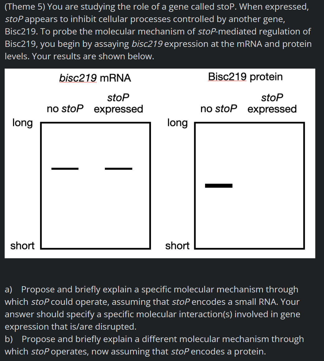(Theme 5) You are studying the role of a gene called stop. When expressed,
stop appears to inhibit cellular processes controlled by another gene,
Bisc219. To probe the molecular mechanism of stoP-mediated regulation of
Bisc219, you begin by assaying bisc219 expression at the mRNA and protein
levels. Your results are shown below.
long
short
bisc219 mRNA
stop
no stop expressed
long
short
Bisc219 protein
stop
no stop expressed
a) Propose and briefly explain a specific molecular mechanism through
which stop could operate, assuming that stop encodes a small RNA. Your
answer should specify a specific molecular interaction(s) involved in gene
expression that is/are disrupted.
b) Propose and briefly explain a different molecular mechanism through
which stop operates, now assuming that stop encodes a protein.