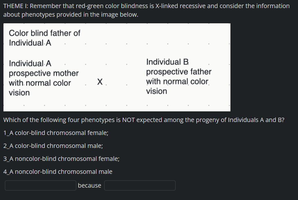 THEME I: Remember that red-green color blindness is X-linked recessive and consider the information
about phenotypes provided in the image below.
Color blind father of
Individual A
Individual A
prospective mother
with normal color
vision
X.
Individual B
prospective father
with normal color
vision
Which of the following four phenotypes is NOT expected among the progeny of Individuals A and B?
1_A color-blind chromosomal female;
2_A color-blind chromosomal male;
3_A noncolor-blind chromosomal female;
4_A noncolor-blind chromosomal male
because