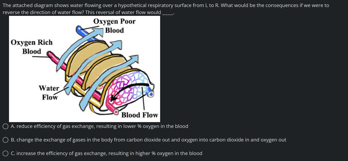 The attached diagram shows water flowing over a hypothetical respiratory surface from L to R. What would be the consequences if we were to
reverse the direction of water flow? This reversal of water flow would
Oxygen Poor
Blood
Oxygen Rich
Blood
Water
Flow
Blood Flow
O A. reduce efficiency of gas exchange, resulting in lower % oxygen in the blood
B. change the exchange of gases in the body from carbon dioxide out and oxygen into carbon dioxide in and oxygen out
O C. increase the efficiency of gas exchange, resulting in higher % oxygen in the blood