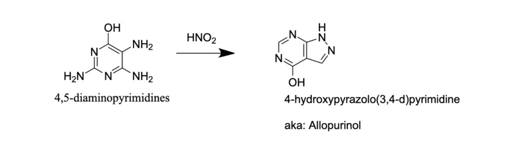 OH
HNO2
NH2
N.
H2N
N.
`NH2
OH
4,5-diaminopyrimidines
4-hydroxypyrazolo(3,4-d)pyrimidine
aka: Allopurinol
