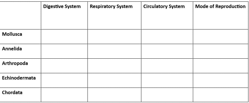 Mollusca
Annelida
Arthropoda
Echinodermata
Chordata
Digestive System
Respiratory System
Circulatory System
Mode of Reproduction