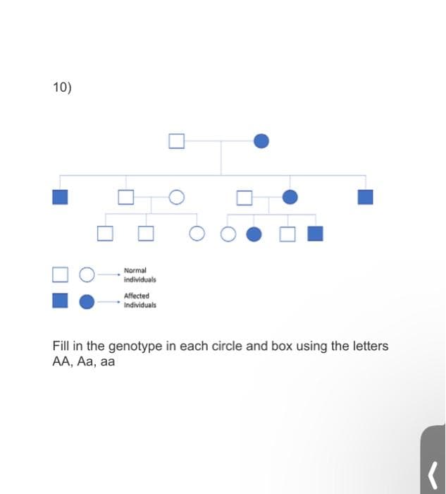 10)
Normal
individuals
Affected
Individuals
O
Fill in the genotype in each circle and box using the letters
AA, Aa, aa
(