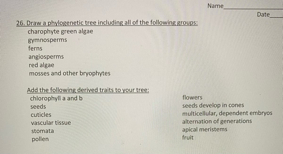 Name
Date
26. Draw a phylogenetic tree including all of the following groups:
charophyte green algae
gymnosperms
ferns
angiosperms
red algae
mosses and other bryophytes
Add the following derived traits to your tree:
chlorophyll a and b
seeds
flowers
seeds develop in cones
multicellular, dependent embryos
alternation of generations
cuticles
vascular tissue
apical meristems
fruit
stomata
pollen
