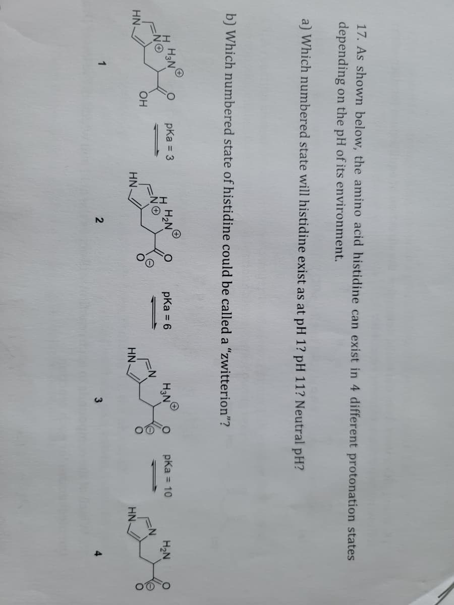 17. As shown below, the amino acid histidine can exist in 4 different protonation states
depending on the pH of its environment.
a) Which numbered state will histidine exist as at pH 1? pH 11? Neutral pH?
b) Which numbered state of histidine could be called a "zwitterion"?
HN
H H3N
1
OH
pka = 3
HN.
2
pka = 6
HN-
H3N
3
pka = 10
HN-
H₂N