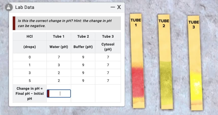 A Lab Data
- X
Is this the correct change in pH? Hint: the change in pH
can be negative.
TUBE
TUBE
TUBE
1
3
HCI
Tube 1
Tube 2
Tube 3
Cytosol
(pH)
(drops)
Water (pH)
Buffer (pH)
7
7
1
9.
7
3
2
9
7
5
2
Change in pH =
Final pH - Initial
pH
2.
9,
