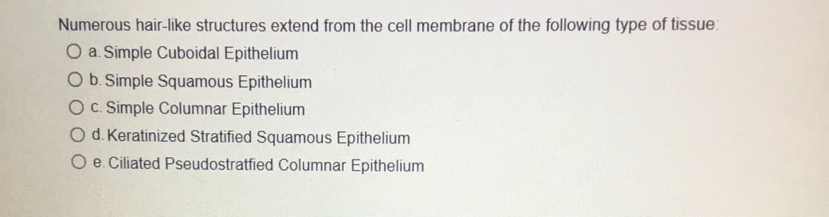 Numerous hair-like structures extend from the cell membrane of the following type of tissue:
O a. Simple Cuboidal Epithelium
O b. Simple Squamous Epithelium
c. Simple Columnar Epithelium
O d. Keratinized Stratified Squamous Epithelium
Oe. Ciliated Pseudostratfied Columnar Epithelium