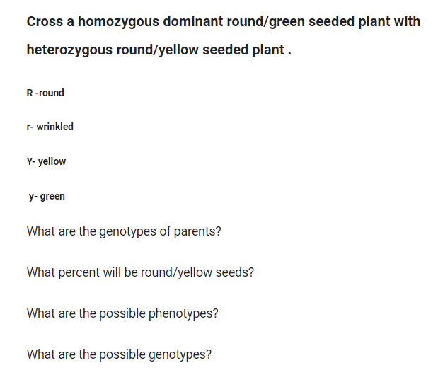Cross a homozygous dominant round/green seeded plant with
heterozygous round/yellow seeded plant .
R-round
r- wrinkled
Y- yellow
y- green
What are the genotypes of parents?
What percent will be round/yellow seeds?
What are the possible phenotypes?
What are the possible genotypes?

