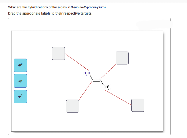 What are the hybridizations of the atoms in 3-amino-2-propenylium?
Drag the appropriate labels to their respective targets.
H₂N
CH
