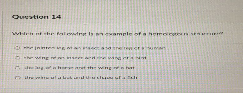 Question 14
Which of the following is an example of a homologous structure?
O the jointed leg of an insect and the leg of a human
O the wing of an insect and the wing of a bird
O the leg of a horse and the wing of a bat
O the wing of a bat and the shape of a fish
