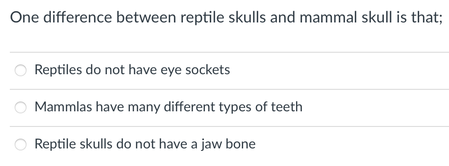 One difference between reptile skulls and mammal skull is that;
Reptiles do not have eye sockets
Mammlas have many different types of teeth
Reptile skulls do not have a jaw bone
