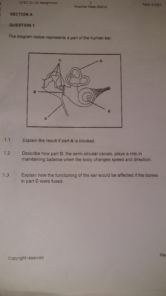 LFSC Gr 12/ Assignment
3
Term 3 2021
Vhembe West District
SECTION A
QUESTION 1
The diagram below represents a part of the human ear.
A
1.1
Explain the result if part A is blocked.
1.2
Describe how part D, the semi-circular canais, plays a role in
maintaining balance when the body changes speed and direction.
1.3
Explain how the functioning of the ear would be affected if the bones
in part C were fused.
Pler
Copyright reserved
