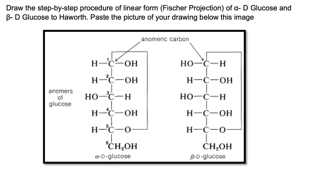 Draw the step-by-step procedure of linear form (Fischer Projection) of a- D Glucose and
B- D Glucose to Haworth. Paste the picture of your drawing below this image
anomeric carbon
H-č-OH
HO-C-H
H-C-OH
H-C-OH
anomers
of
glucose
HO-C-H
но-с—н
H-C-OH
H-Ċ-OH
H-C-0-
H-C-0-
CH,OH
CH,OH
a-D-glucose
B-D-glucose
