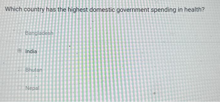 Which country has the highest domestic government spending in health?
Bangladesh
India
Bhutan
Nepal