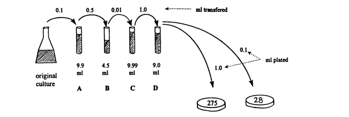 0.1
0.5
0.01
1.0
ml transfered
ml plated
9.9
4.5
9.0
9.99
ml
1.0
ml
ml
ml
original
culture
A
с D
28
275
