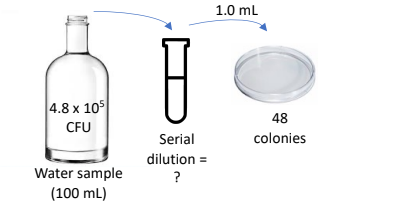 1.0 ml
4.8 x 105
48
CFU
Serial
colonies
dilution
Water sample
(100 ml)
?
