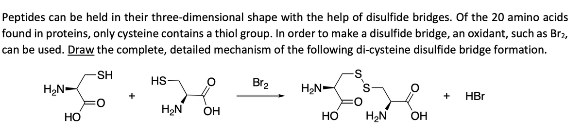 Peptides can be held in their three-dimensional shape with the help of disulfide bridges. Of the 20 amino acids
found in proteins, only cysteine contains a thiol group. In order to make a disulfide bridge, an oxidant, such as Br2,
can be used. Draw the complete, detailed mechanism of the following di-cysteine disulfide bridge formation.
-SH
H₂N
HO
+
HS-
H₂N OH
Br₂
H₂N-
HO
S
V
S-
H₂N
OH
+
HBr