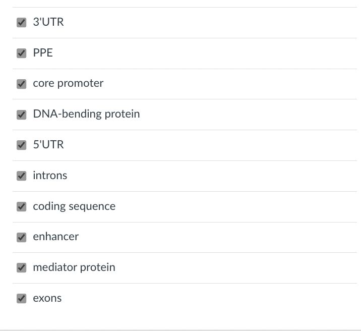 3'UTR
PPE
core promoter
V DNA-bending protein
5'UTR
V introns
coding sequence
enhancer
V mediator protein
exons
