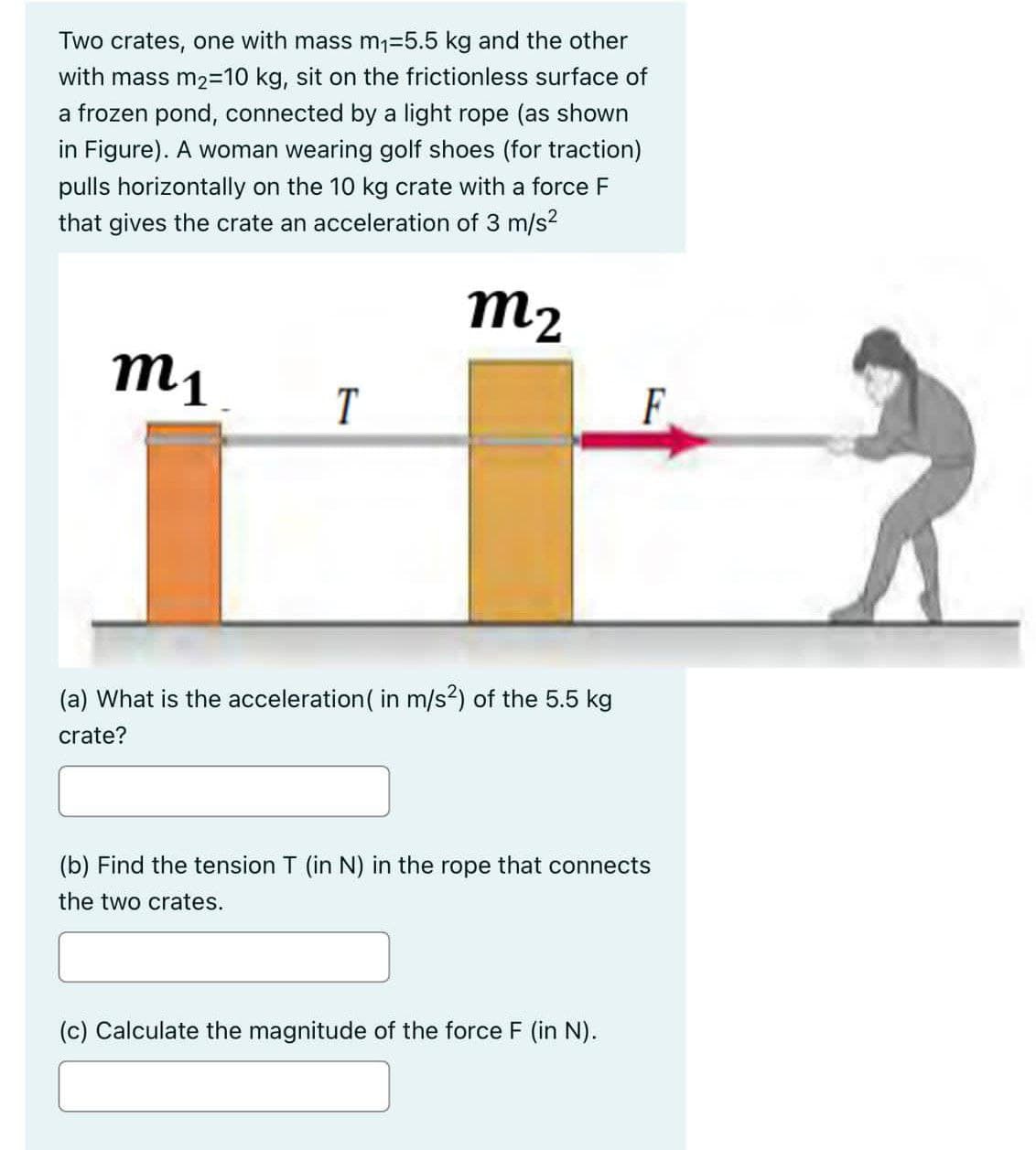 Two crates, one with mass m₁=5.5 kg and the other
with mass m2=10 kg, sit on the frictionless surface of
a frozen pond, connected by a light rope (as shown
in Figure). A woman wearing golf shoes (for traction)
pulls horizontally on the 10 kg crate with a force F
that gives the crate an acceleration of 3 m/s²
m₂
m₁
T
(a) What is the acceleration ( in m/s²) of the 5.5 kg
crate?
F
(b) Find the tension T (in N) in the rope that connects
the two crates.
(c) Calculate the magnitude of the force F (in N).