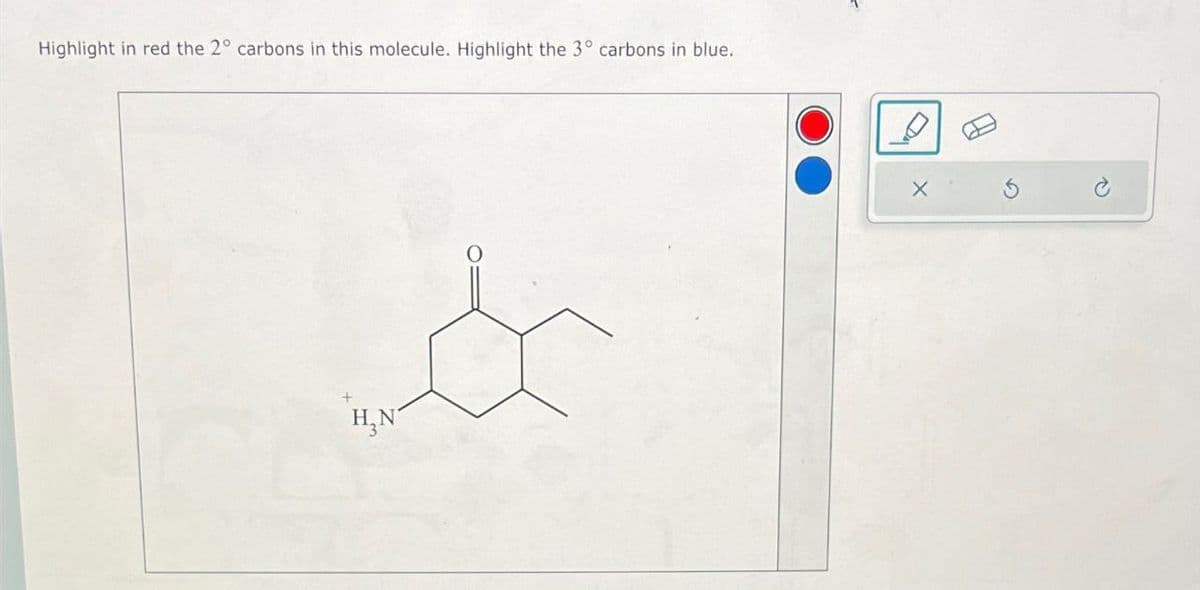 Highlight in red the 2° carbons in this molecule. Highlight the 3° carbons in blue.
&
H₂N
X'