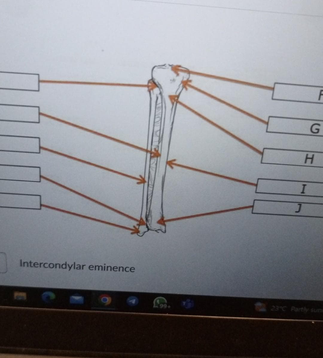 Intercondylar eminence
99+
H
I
F
G
23°C Partly sune