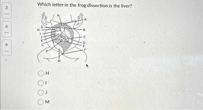 ic
9
1
a
1
▸
Which letter in the frog dissection is the liver?
H
J
M
B
1305