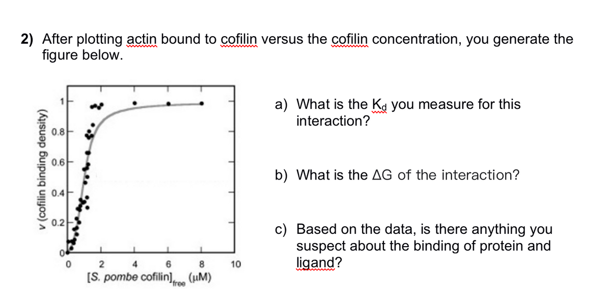 2) After plotting actin bound to cofilin versus the cofilin concentration, you generate the
figure below.
v (cofilin binding density)
1
0.8
0.6
0.4
0.2
0
2
4
6
8
[S. pombe cofilin] free (UM)
10
a) What is the Kd you measure for this
interaction?
b) What is the AG of the interaction?
c) Based on the data, is there anything you
suspect about the binding of protein and
ligand?