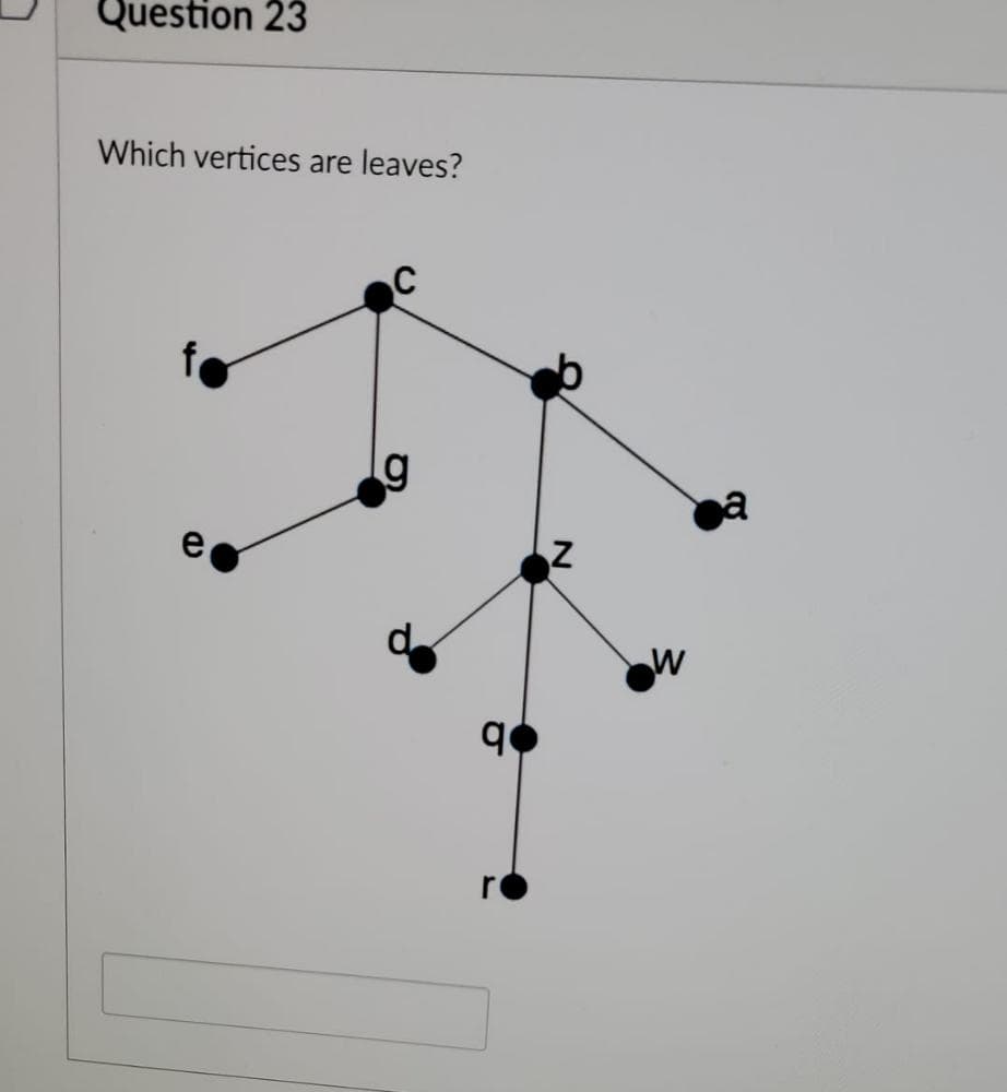 Question 23
Which vertices are leaves?
g
q
N
W
a