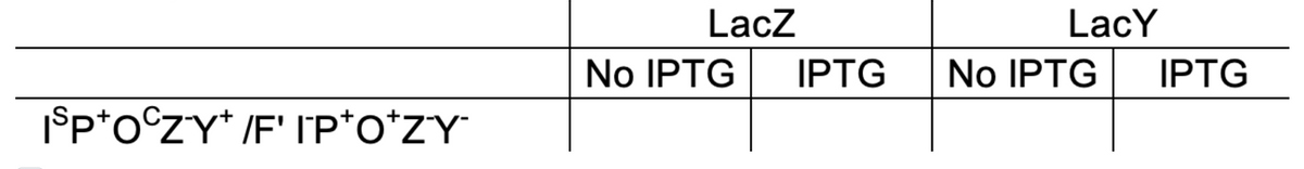 ISP+OCZY+/F' IP*O*ZY™
LacZ
No IPTG
IPTG
LacY
No IPTG IPTG