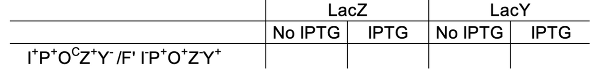 I*P*OCZ+Y/F' IP*O*ZY+
LacZ
No IPTG
IPTG
Lacy
No IPTG IPTG