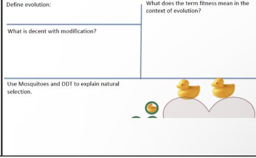 Define evolution:
What is decent with modification?
Use Mosquitoes and DDT to explain natural
selection.
What does the term fitness mean in the
context of evolution?