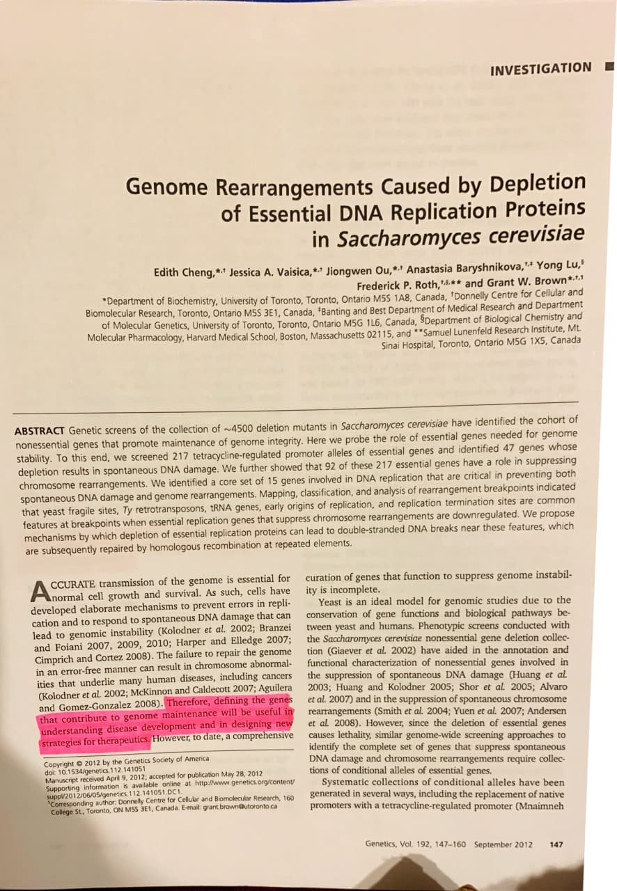 INVESTIGATION
Genome Rearrangements Caused by Depletion
of Essential DNA Replication Prote ins
in Saccharomyces cerevisiae
Edith Cheng,* Jessica A. Vaisica, ** Jiongwen Ou,* Anastasia Baryshnikova,' Yong Lu,
Frederick P. Roth,4.* and Grant W. Brown*.*
Department of Biochemistry, University of Toronto, Toronto, Ontario M5S 1A8, Canada, 'Donnelly Centre for Cellular and
Biomolecular Research, Toronto, Ontario M5S 3E1, Canada, *Banting and Best Department of Medical Research and Department
of Molecular Genetics, University of Toronto, Toronto, Ontario M5G 1L6, Canada, SDepartment of Biological Chemistry and
Molecular Pharmacology, Harvard Medical School, Boston, Massachusetts 02115, and *"Samuel Lunenfeld Research Institute, Mt.
Sinai Hospital, Toronto, Ontario M5G 1X5, Canada
ABSTRACT Genetic screens of the collection of ~4500 deletion mutants in Saccharomyces cerevisiae have identified the cohort of
nonessential genes that promote maintenance of genome integrity. Here we probe the role of essential genes needed for genome
stability. To this end, we screened 217 tetracycline-regulated promoter alleles of essential genes and identified 47 genes whose
depletion results in spontaneous DNA damage. We further showed that 92 of these 217 essential genes have a role in suppressing
chromosome rearrangements. We identified a core set of 15 genes involved in DNA replication that are critical in preventing both
spontaneous DNA damage and genome rearrangements. Mapping, classification, and analysis of rearrangement breakpoints indicated
that yeast fragile sites, Ty retrotransposons, tRNA genes, early origins
features at breakpoints when essential replication genes that suppress chromosome rearrangements are down regulated. We propose
mechanisms by which depletion of essential replication proteins can lead to double-stranded DNA breaks near these features, which
are subsequently repaired by homologous recombination at repeated elements
replication, and replication termination sites are common
CCURATE transmission of the genome is essential for
normal cell growth and survival. As such, cells have
developed elaborate mechanisms to prevent errors in repli
cation and to respond to spontaneous DNA damage that can
lead to genomic instability (Kolodner et al. 2002; Branzei
and Foiani 2007, 2009, 2010; Harper and Elledge 2007;
Cimprich and Cortez 2008). The failure to repair the genome
in an error-free manner can result in chromosome abnormal-
ities that underlie many human diseases, including cancers
(Kolodner et al. 2002; McKinnon and Caldecott 2007; Aguilera
and Gomez-Gonzalez 2008). Therefore, defining the genes
that contribute to genome maintenance will be useful in
understanding disease development and in designing new
strategies for therapeutics. However, to date, a comprehensive
curation of genes that function to suppress genome instabil-
ity is incomplete.
Yeast is an ideal model for genomic studies due to the
conservation of gene functions and biological pathways be-
tween yeast and humans. Phenotypic screens conducted with
the Saccharomyces cerevisiae nonessential gene deletion collec-
tion (Giaever et al. 2002) have aided in the annotation and
functional characterization of nonessential genes involved in
the suppression of spontaneous DNA damage (Huang et al.
2003; Huang and Kolodner 2005; Shor et al. 2005; Alvaro
et al. 2007) and in the suppression of spontaneous chromosome
rearrangements (Smith et al. 2004; Yuen et al. 2007; Andersen
et al 2008). However, since the deletion of essential genes
causes lethality, similar genome-wide screening approaches to
identify the complete set of genes that suppress spontaneous
DNA damage and chromosome rearrangements require collec-
tions of conditional alleles of essential genes.
Systematic collections of conditional alleles have been
generated in several ways, including the replacement of native
promoters with a tetracycline-regulated promoter (Mnaimneh
Copyright 2012 by the Genetics Society of America
doi: 10.1534/genetics.112.141051
Manuscript received April 9, 2012; accepted for publication May 28, 2012
Supporting information is available online at http//www.genetics.org/content
suppl/2012/06/05/genetics. 112.141051 DC1
'Corresponding author: Donnelly Centre for Cellular and Biomolecular Research, 160
College St, Toronto, ON MSS 3E1, Canada. E-mail: grant.brown@utoronto.ca
Genetics, Vol. 192, 147-160 September 2012
147
