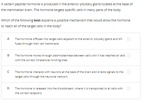 A certain peptide hormone is produced in the anterior pituitary gland located at the base of
the mammalian brain. The hormone targets specific cells in many parts of the body.
Which of the following best explains a possible mechanism that would allow the hormone
to reach all of the target cells in the body?
A
B
с
D
The hormone diffuses into target cells adjacent to the anterior pituitary gland and dif-
fuses through their cell membrane.
The hormone moves through plasmodesmata between cells until it has reached all cells
with the correct intracellular binding sites.
The hormone interacts with neurons at the base of the brain and directs signals to the
target cells through the neuronal network.
The hormone is released into the bloodstream, where it is transported to all cells with
the correct receptors.