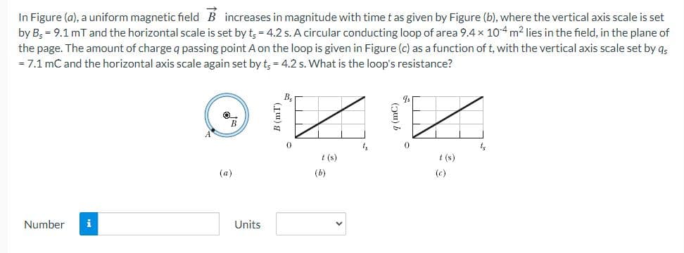 In Figure (a), a uniform magnetic field B increases in magnitude with time t as given by Figure (b), where the vertical axis scale is set
by B; = 9.1 mT and the horizontal scale is set by t, = 4.2 s. A circular conducting loop of area 9.4 x 10-4 m2 lies in the field, in the plane of
the page. The amount of charge q passing point A on the loop is given in Figure (c) as a function of t, with the vertical axis scale set by qs
= 7.1 mC and the horizontal axis scale again set by t, = 4.2 s. What is the loop's resistance?
B.
t (s)
t (s)
(a)
(b)
(c)
Number
i
Units
