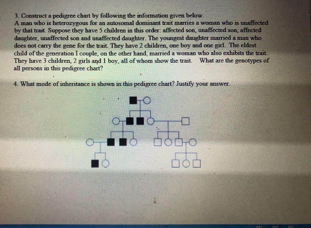 3. Construct a pedigree chart by following the information given below.
A man who is heterozygous for an autosomal dominant trait marries a woman who is unaffected
by that trait. Suppose they have 5 children in this order: affected son, únaffected son, affected
daughter, unaffected son and unaffected daughter. The youngest daughter married a man who
does not carry the gene for the trait. They have 2 children, one boy and one girl The eldest
child of the generation I couple, on the other hand, married a woman who also exhibits the trait.
They have 3 children, 2 girls and 1 boy, all of whom show the trait.
all persons in this pedigree chart?
What are the genotypes of
4. What mode of inheritance is shown in this pedigree chart? Justify your answer.
