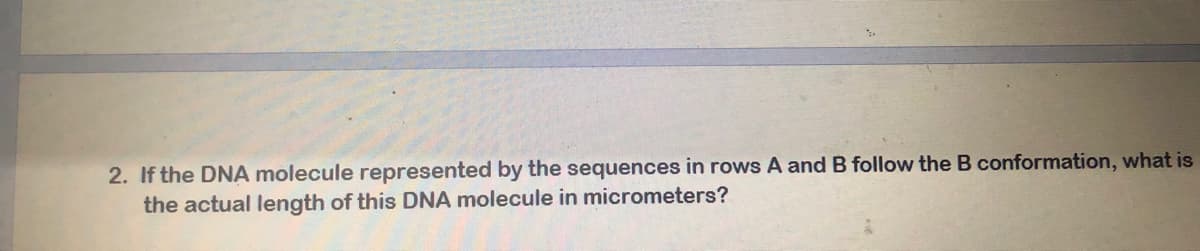 2. If the DNA molecule represented by the sequences in rows A and B follow the B conformation, what is
the actual length of this DNA molecule in micrometers?
