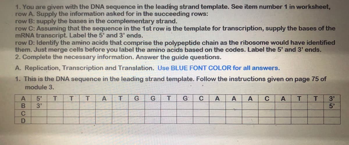 1. You are given with the DNA sequence in the leading strand template. See item number 1 in worksheet,
row A. Supply the information asked for in the succeeding rows:
row B: supply the bases in the complementary strand.
row C: Assuming that the sequence in the 1st row is the template for transcription, supply the bases of the
MRNA transcript. Label the 5' and 3' ends.
row D: Identify the amino acids that comprise the polypeptide chain as the ribosome would have identified
them. Just merge cells before you label the amino acids based on the codes. Label the 5' and 3' ends.
2. Complete the necessary information. Answer the guide questions.
A. Replication, Transcription and Translation. Use BLUE FONT COLOR for all answers.
1. This is the DNA sequence in the leading strand template. Follow the instructions given on page 75 of
module 3.
5'
T.
T
G
A
3'
3'
5'
ABCD
