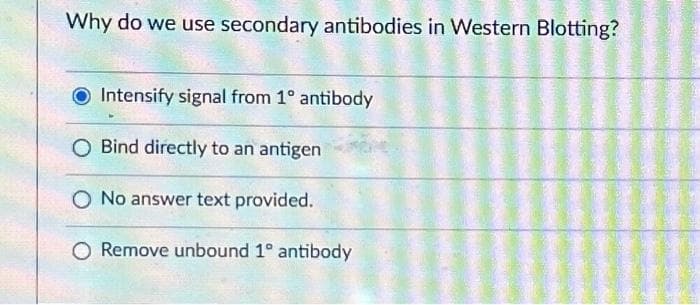 Why do we use secondary antibodies in Western Blotting?
Intensify signal from 1° antibody
O Bind directly to an antigen
O No answer text provided.
O Remove unbound 1° antibody