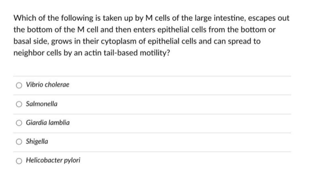 Which of the following is taken up by M cells of the large intestine, escapes out
the bottom of the M cell and then enters epithelial cells from the bottom or
basal side, grows in their cytoplasm of epithelial cells and can spread to
neighbor cells by an actin tail-based motility?
Vibrio cholerae
Salmonella
Giardia lamblia
Shigella
Helicobacter pylori
