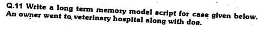 Q.11 Write a long term memory model script for case given below.
An owner went to veterinary hospital along with doa.