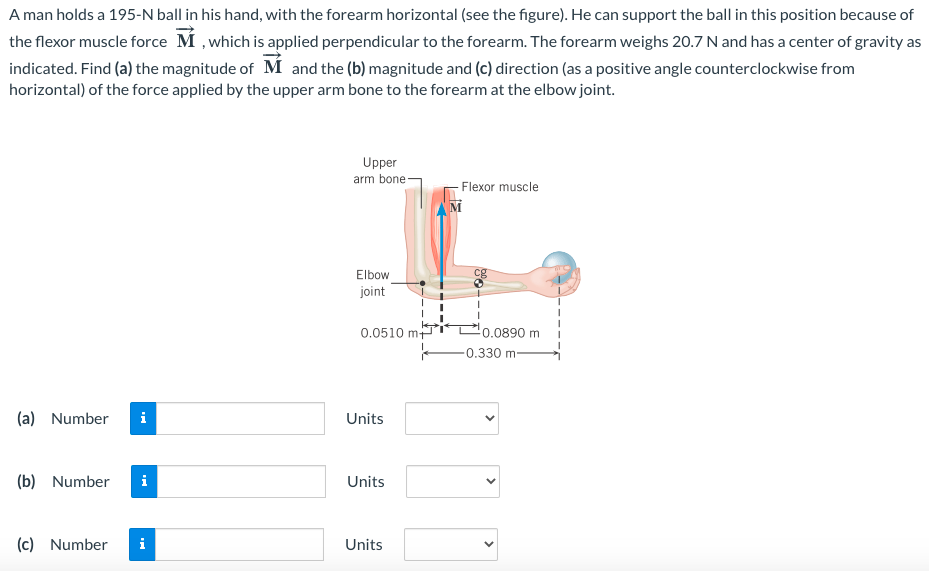 A man holds a 195-N ball in his hand, with the forearm horizontal (see the figure). He can support the ball in this position because of
the flexor muscle force M , which is applied perpendicular to the forearm. The forearm weighs 20.7 N and has a center of gravity as
indicated. Find (a) the magnitude of M and the (b) magnitude and (c) direction (as a positive angle counterclockwise from
horizontal) of the force applied by the upper arm bone to the forearm at the elbow joint.
Upper
arm bone-
Flexor muscle
M
Elbow
cg
joint
0.0510 m+
0.0890 m
-0.330 m-
(a) Number
i
Units
(b) Number
i
Units
(c) Number
i
Units
>
