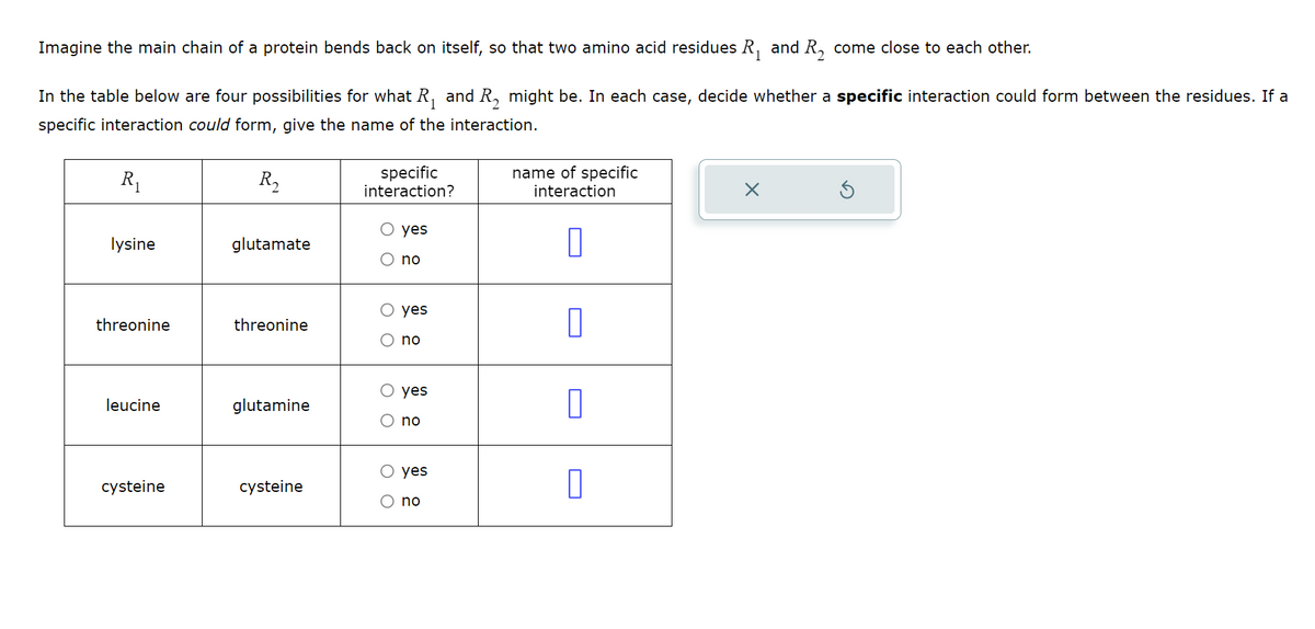 Imagine the main chain of a protein bends back on itself, so that two amino acid residues R₁ and R₂ come close to each other.
1
In the table below are four possibilities for what R₁ and R₂ might be. In each case, decide whether a specific interaction could form between the residues. If a
specific interaction could form, give the name of the interaction.
R₁
specific
interaction?
R₂
○ yes
lysine
glutamate
no
name of specific
interaction
☐
threonine
threonine
○ yes
○ no
leucine
glutamine
○ yes
O no
○ yes
cysteine
cysteine
O no