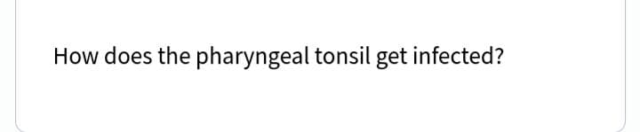 How does the pharyngeal tonsil get infected?
