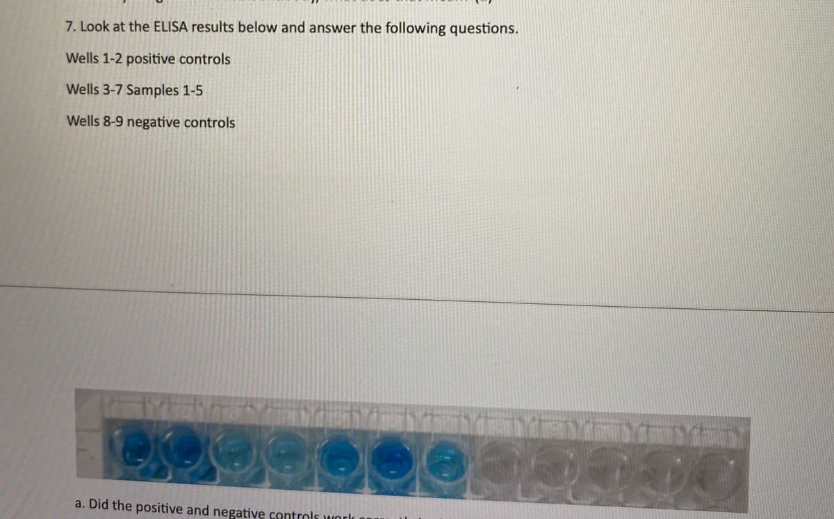 7. Look at the ELISA results below and answer the following questions.
Wells 1-2 positive controls
Wells 3-7 Samples 1-5
Wells 8-9 negative controls
a. Did the positive and negative controls work o
