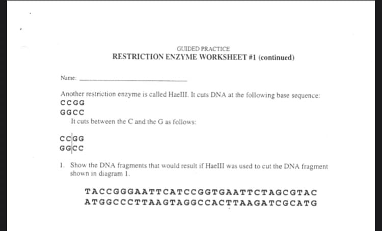GUIDED PRACTICE
RESTRICTION ENZYME WORKSHEET #1 (continued)
Name:
Another restriction enzyme is called Haelll. It cuts DNA at the following base sequence:
cCG
GGCC
It cuts between the C and the G as follows:
ccGG
GGCC
1. Show the DNA fragments that would result if HaelII was used to cut the DNA fragment
shown in diagram 1.
TACCGGGAATTCATCCGGTGAATTCTAGCGTAC
ATGGCCCTTAAGTAGGCCACTTAAGATCGCATG
