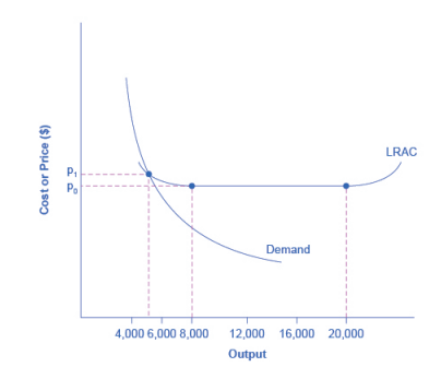 LRAC
P.
Po
Demand
4,000 6,000 8,000
12,000 16,000 20,000
Output
Cost or Price ($)
