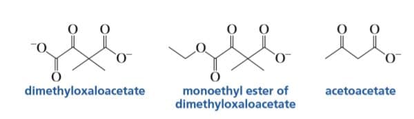 monoethyl ester of
dimethyloxaloacetate
dimethyloxaloacetate
acetoacetate
