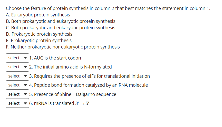 Choose the feature of protein synthesis in column 2 that best matches the statement in column 1.
A. Eukaryotic protein synthesis
B. Both prokaryotic and eukaryotic protein synthesis
C. Both prokaryotic and eukaryotic protein synthesis
D. Prokaryotic protein synthesis
E. Prokaryotic protein synthesis
F. Neither prokaryotic nor eukaryotic protein synthesis
select
1. AUG is the start codon
- 2. The initial amino acid is N-formylated
3. Requires the presence of elFs for translational initiation
select -4. Peptide bond formation catalyzed by an RNA molecule
select
select - 5. Presence of Shine-Dalgarno sequence
select
6. MRNA is translated 3' → 5'
