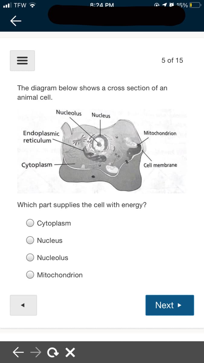 ul TEW ?
8:24 PM.
@ 10 15% 0
5 of 15
The diagram below shows a cross section of an
animal cell.
Nucleolus
Nucleus
Endoplasmic
reticulum
Mitochondrion
Cytoplasm
Cell membrane
Which part supplies the cell with energy?
Cytoplasm
Nucleus
Nucleolus
Mitochondrion
Next
+ →Q X
II
